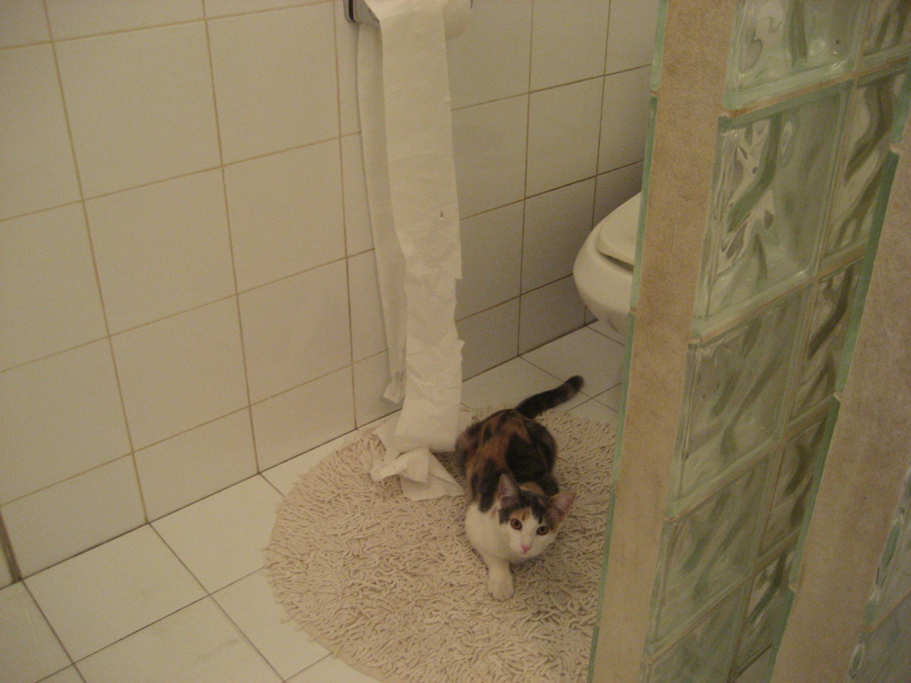 开云体育APP下载-多平台转播提升橄榄球影响力,橄榄球传球的动作视频