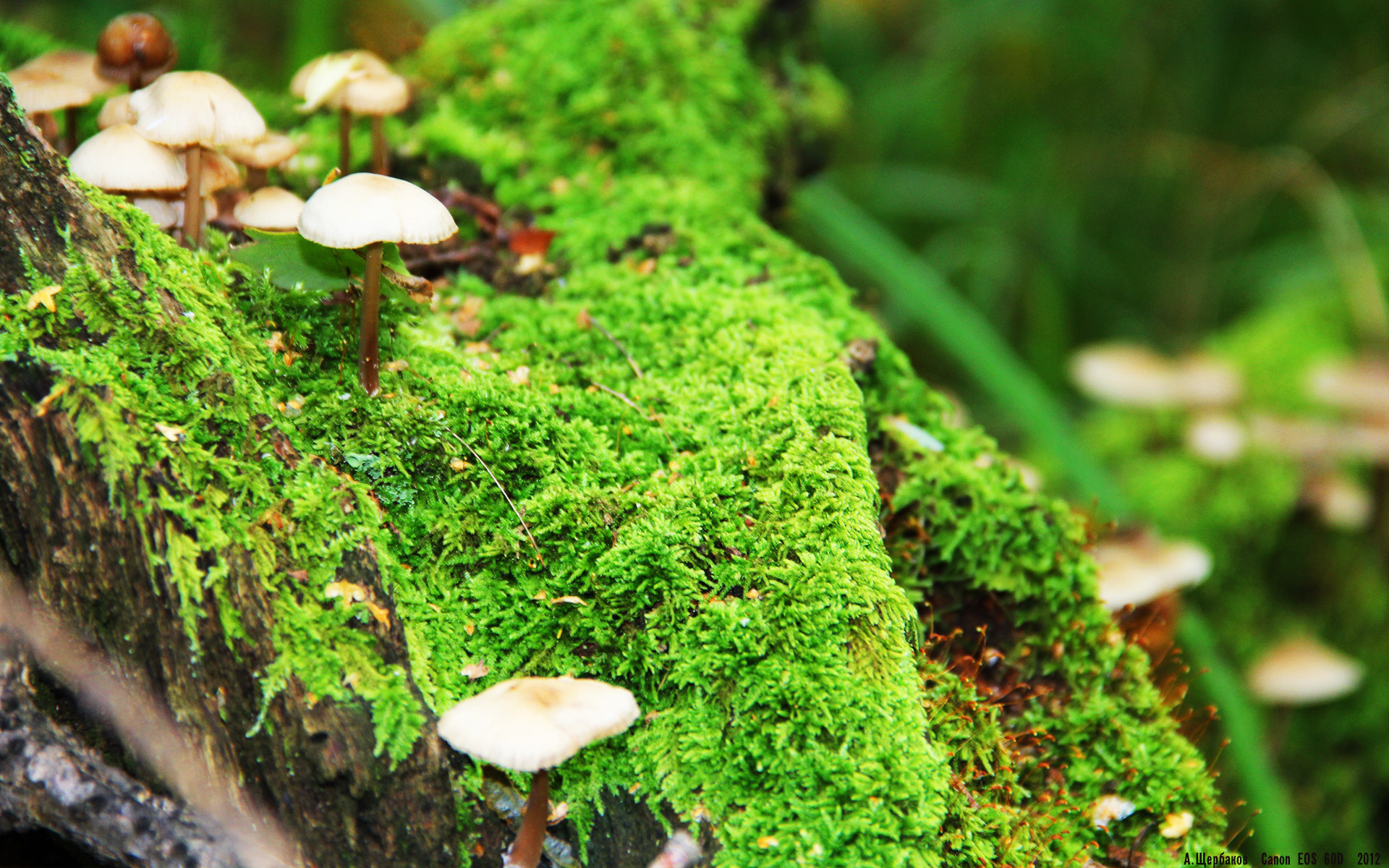 kaiyun体育综合-库里开设投篮体验馆推广篮球文化，库里的投篮训练