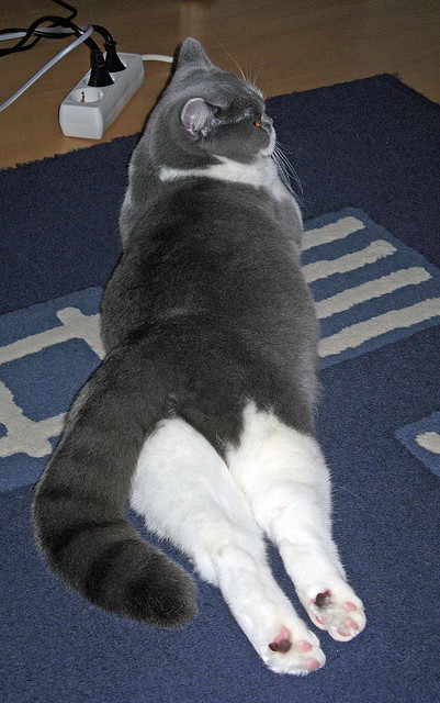 开云·Kaiyun网页版-欧洲杯战局变化:局势逐渐明朗,精彩不断!,欧洲杯战果