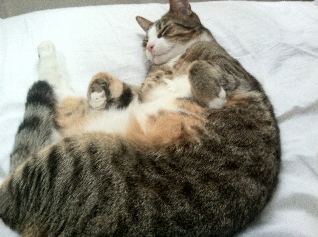 开云官方网页登录-自由泳预赛韩国选手顺利晋级,自由泳预赛韩国选手顺利晋级了吗