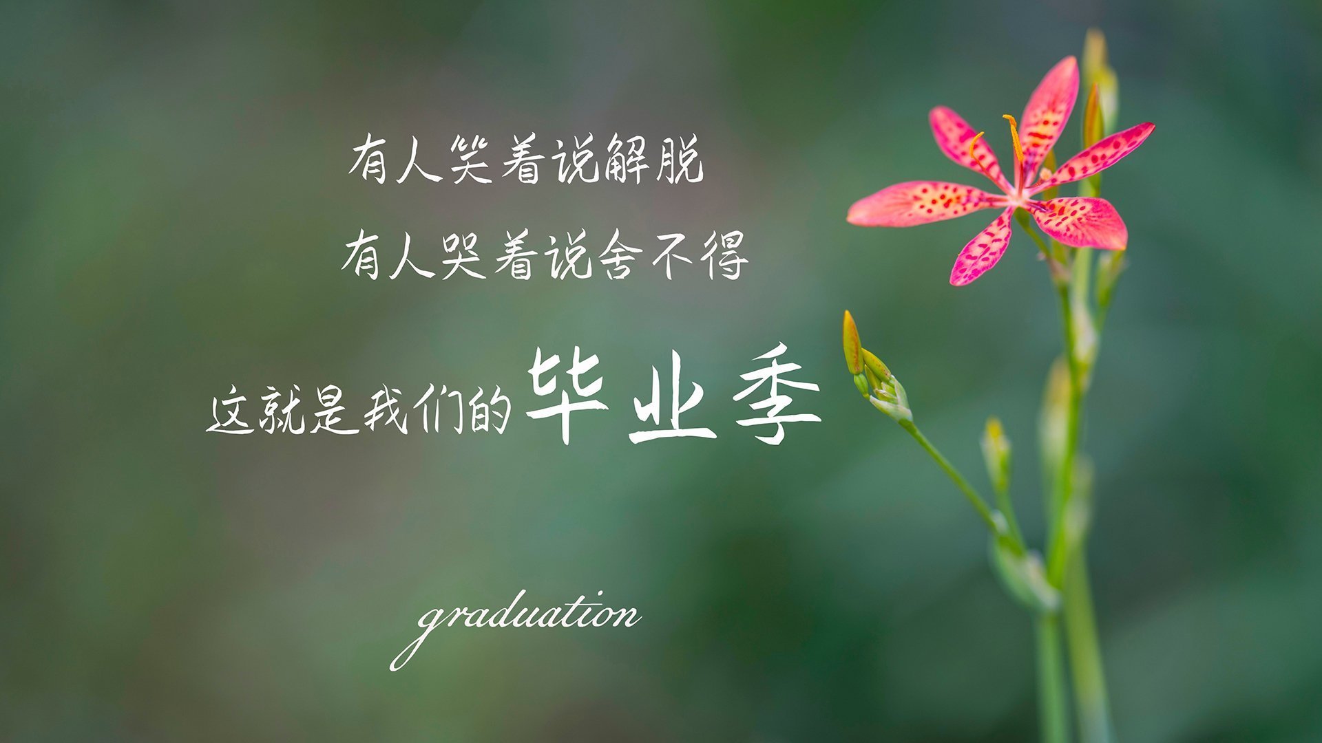 开云·体育官网-奇才球队年轻力量崛起引关注，奇才队年薪